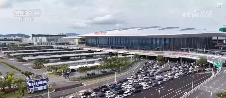 洪氏《七年蝴蝶蜕变》