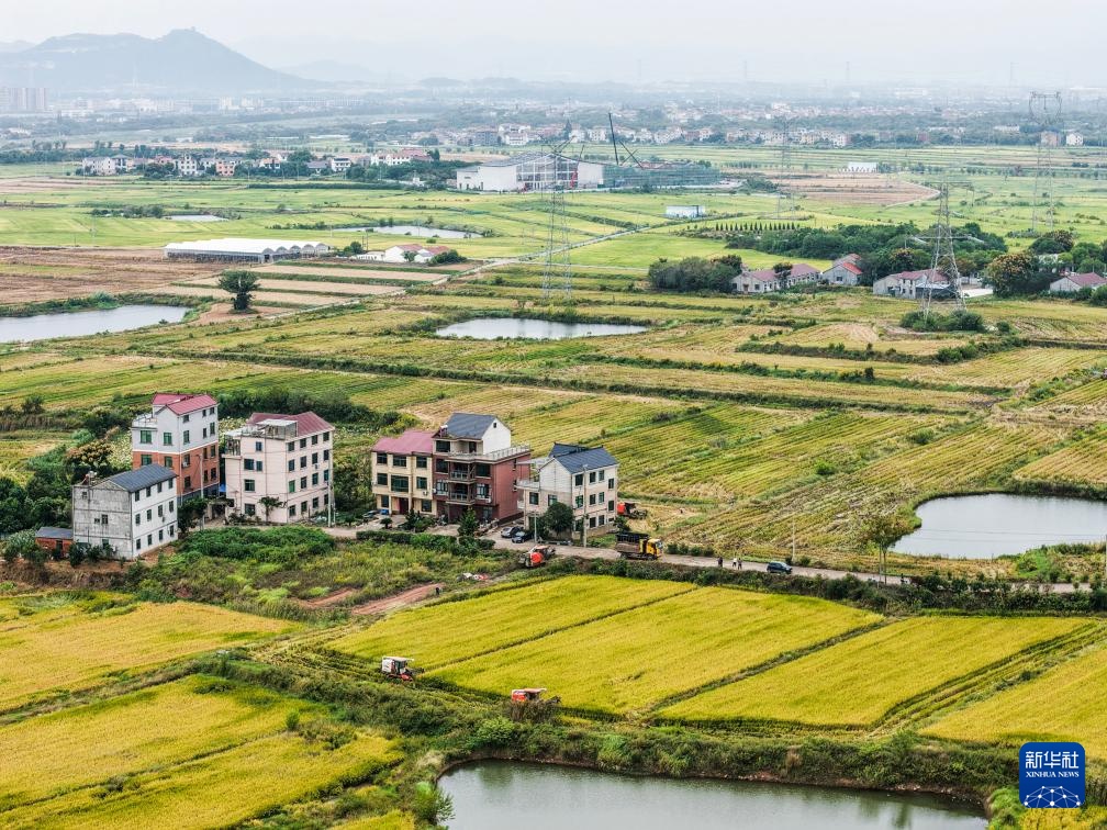 浙江省金华市：数万亩良田农田示范区迎来丰收