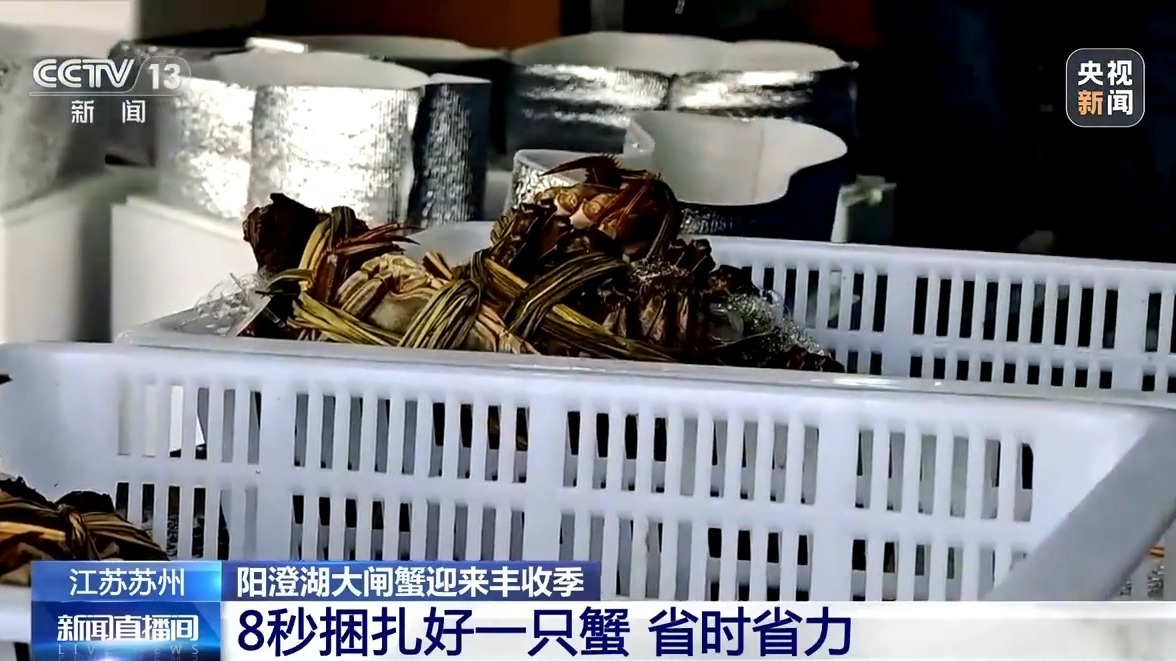 金秋时节，正是品尝螃蟹的时节。如何挑选肉厚