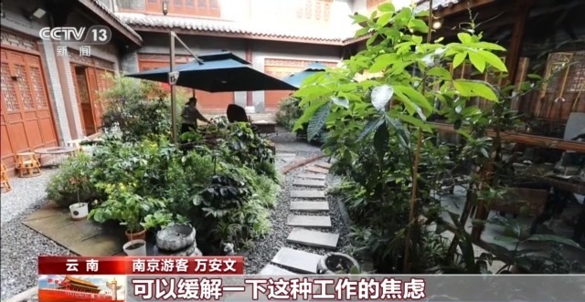 “左手咖啡，右手茶”在云南普洱享受安静的“