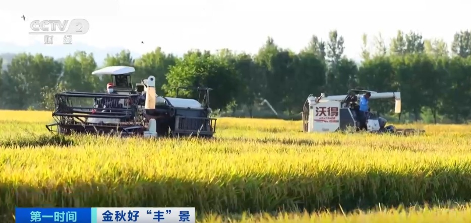 “黄金”的肥沃领域播放歌曲的产量，技术赋予