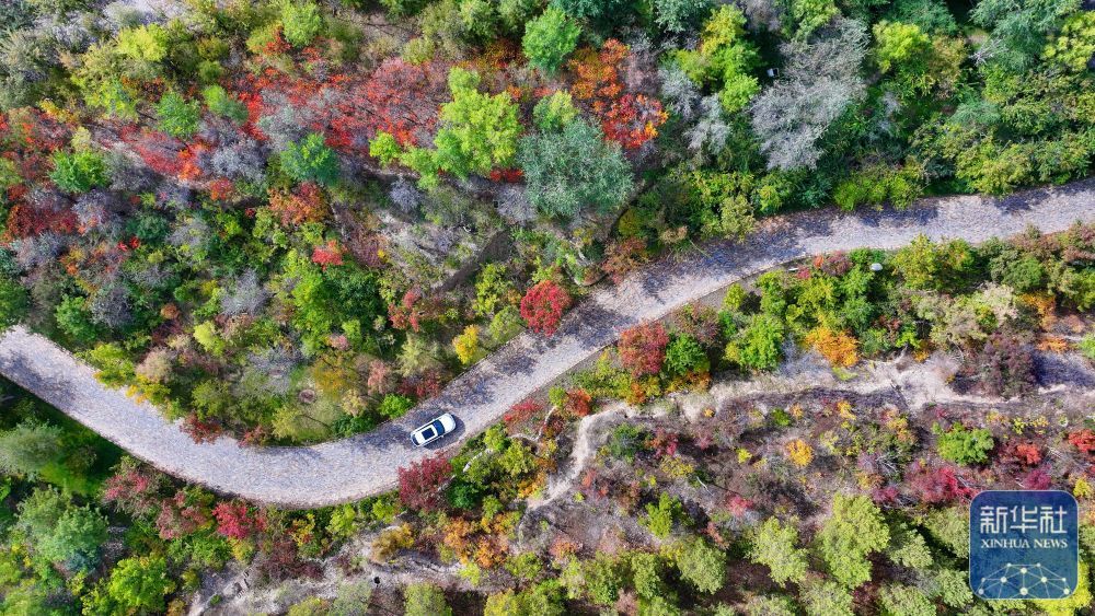“塞尚湖城”秋色美景