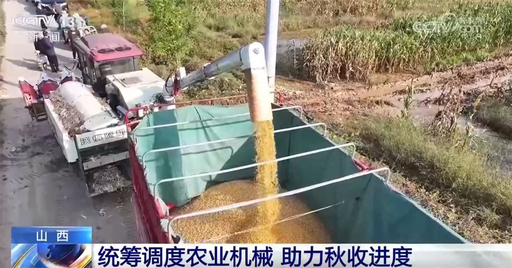 一些地区打响了秋收“攻坚战”，“握紧拳头”