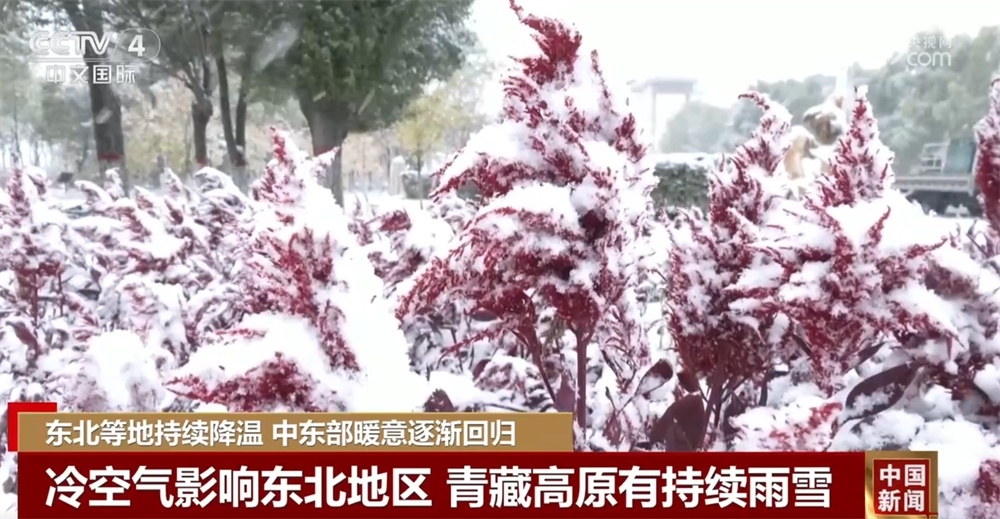 各地区、各部门将“以雪为令”，积极采取措施