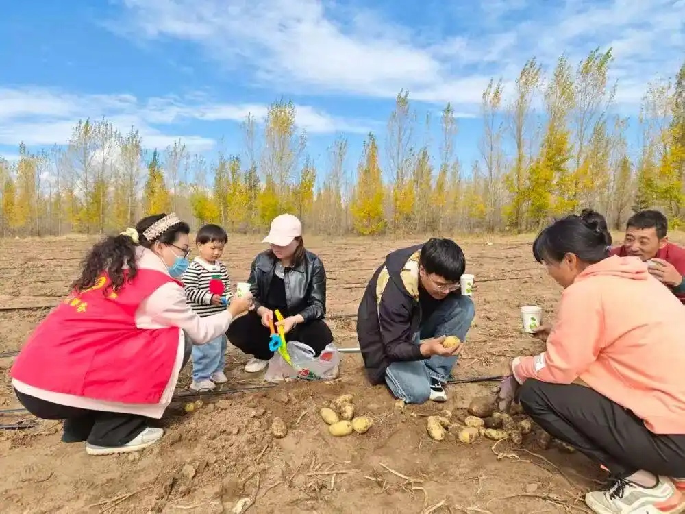 东湖凯树丨汗水幸福,“田野劳动”不断给大地带来幸福
