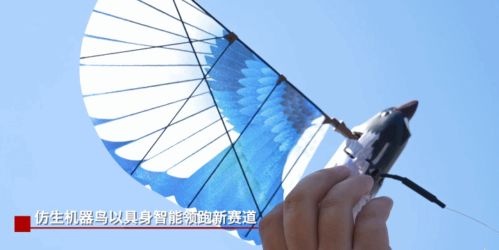 隐蔽性极佳！观看未来战场上的“鸟帮”进攻。