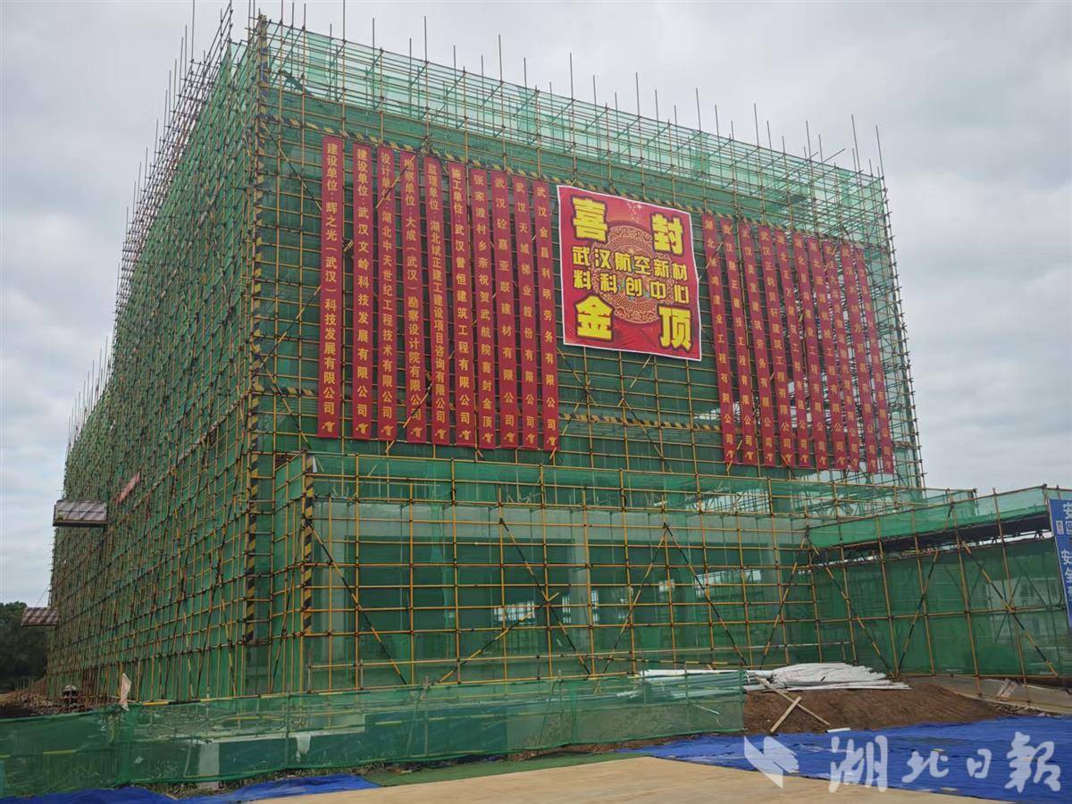 随着新省级研发机构的加入，蔡甸航空新材料产