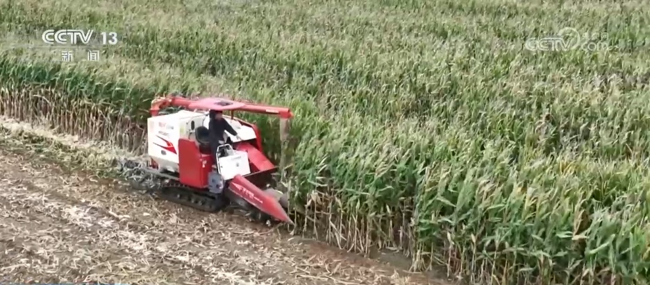 空军“大部队”+“新装备”+财政“援助” 多地