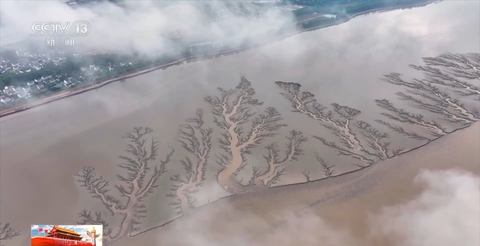 宏伟的“潮木”是如何形成的？科考队员们用了