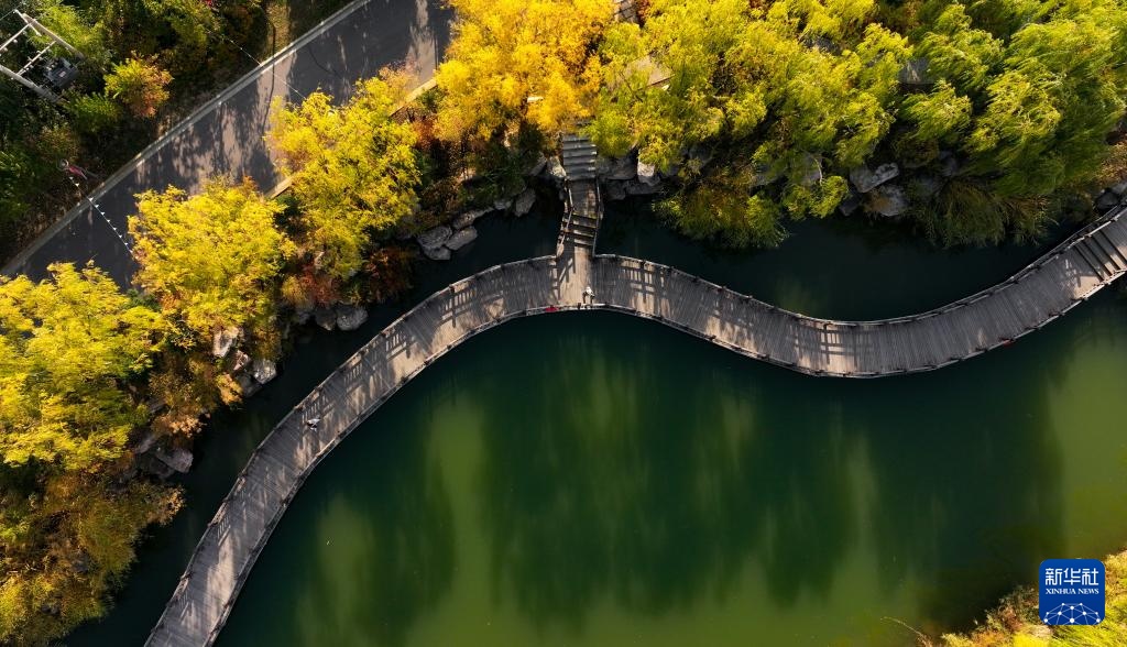 美丽中国丨塞上湖城浓浓的秋意