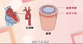 最近发病率有所增加，因此四种类型的人都应该