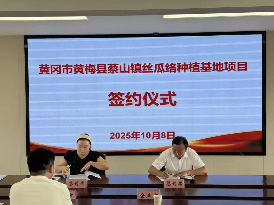 “丝瓜”变身:看勇黄合作如何变“人脉”为金