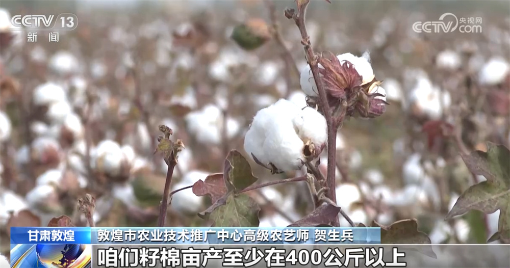 棉花的白、茶花的红、玉米的黄……广阔的田野