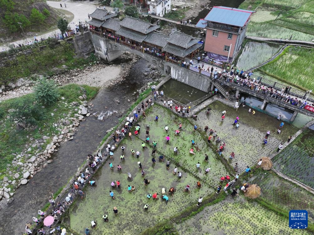 粤桂合作推动苗镇渔业与旅游联动发展