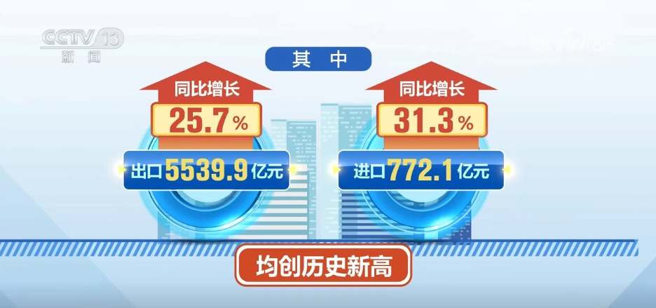 6312亿元、超46万人次义乌小商品“圈粉”世界大市场新业态激活外贸新动能(图2)