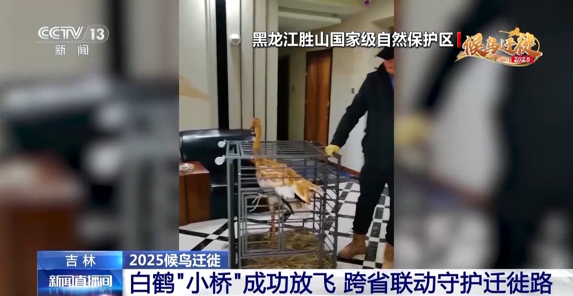 Ƶح׺Ǩô죿ʡЭǨͨ