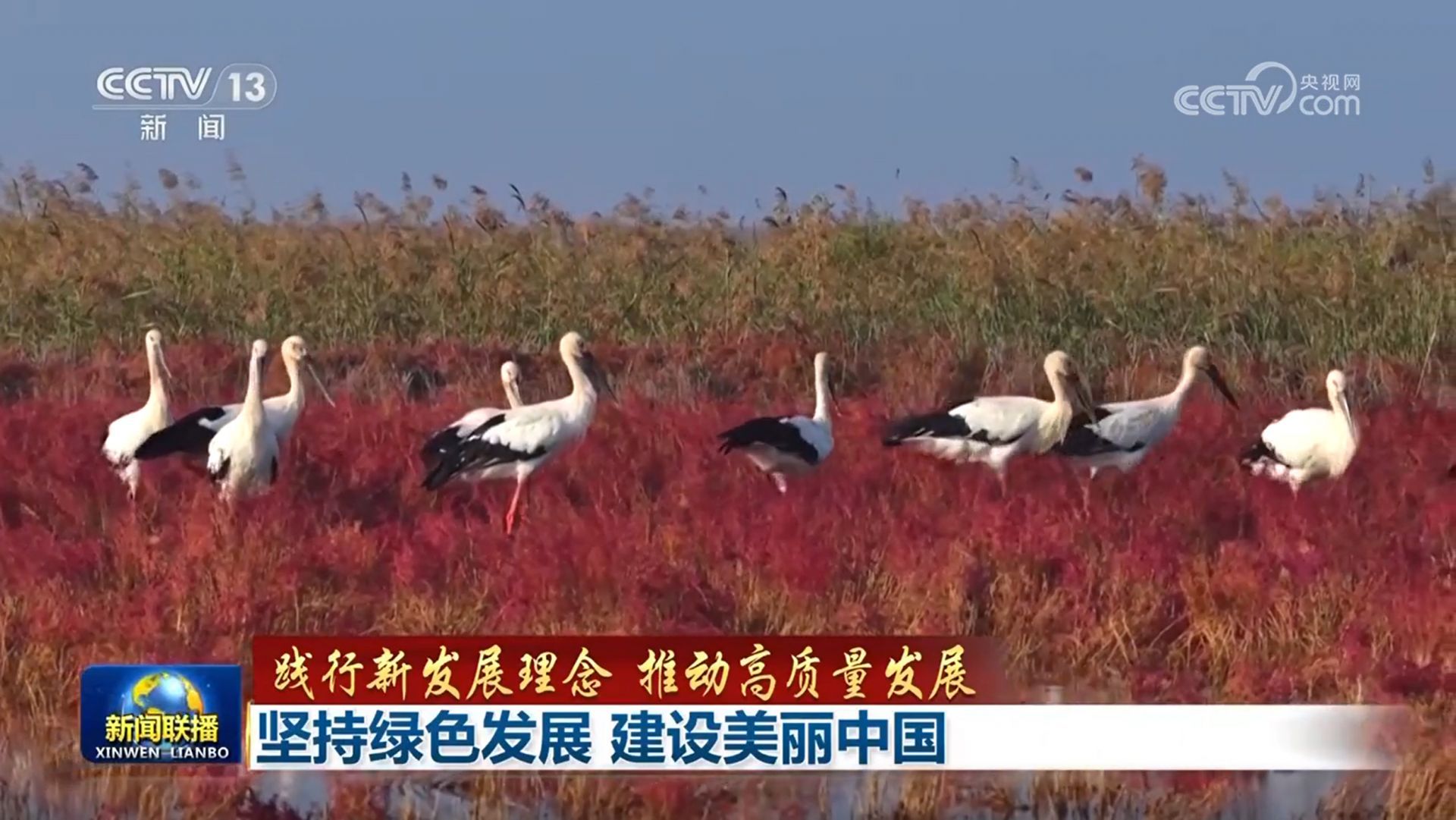 KAIYUN SPORTS截圖預(yù)覽