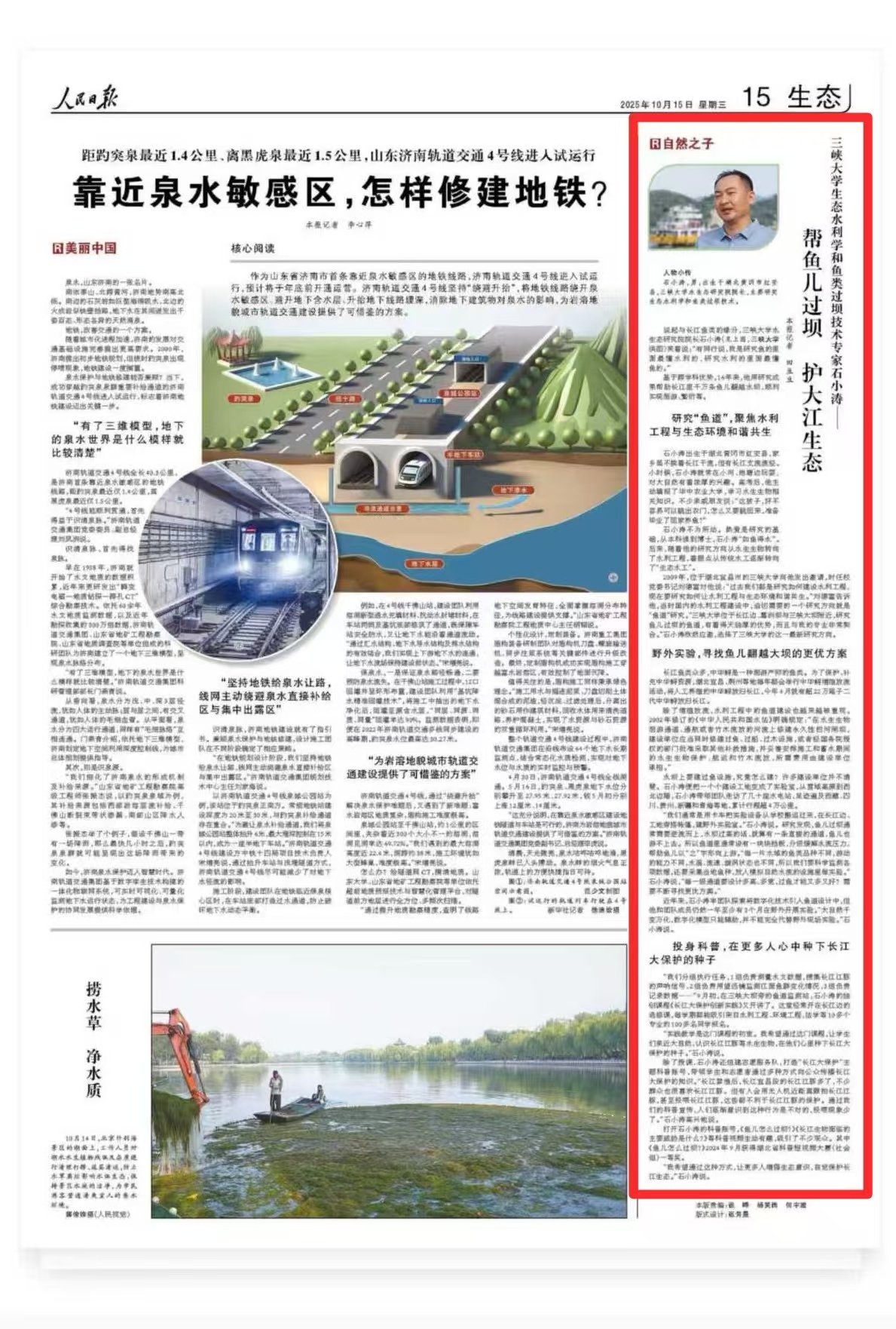 从东湖向北看长江丨鱼儿是怎样“跃龙门”的？