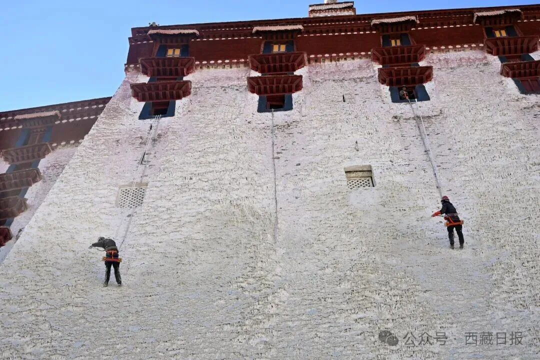 九游體育截圖預(yù)覽