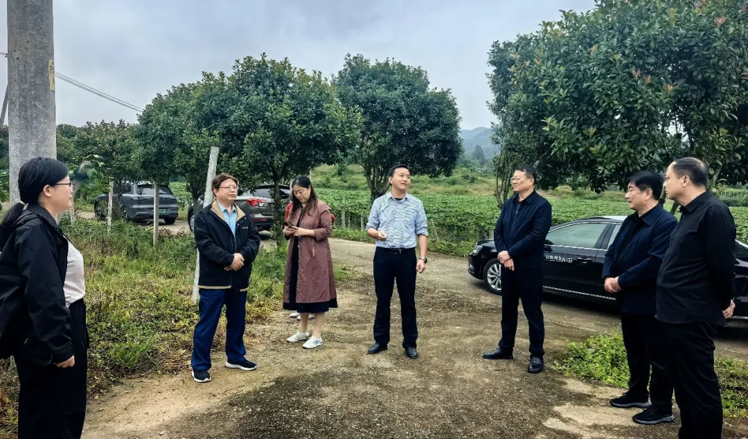 委员们将发挥作用，推动区域振兴，聚焦大悟红