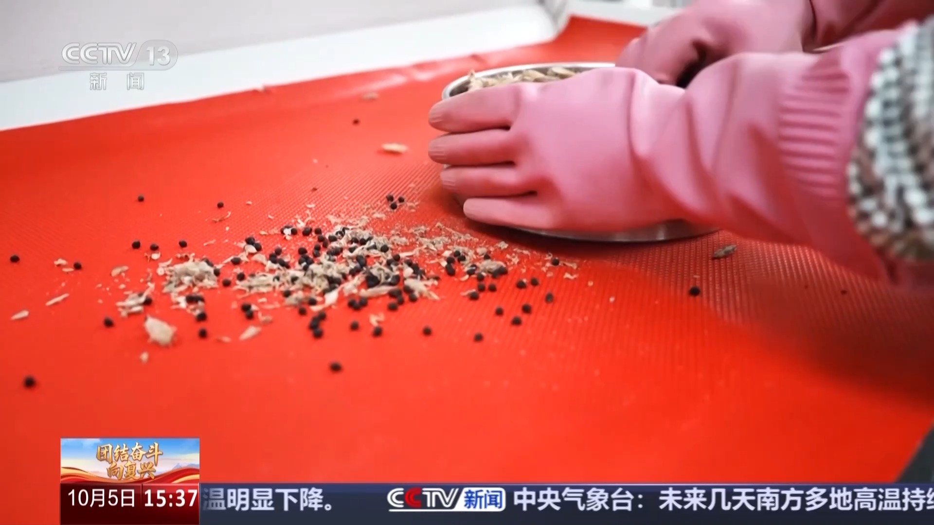 我 - 返回未来的寿命密码，并揭示“诺亚方舟”为亚洲最大的野生动植物