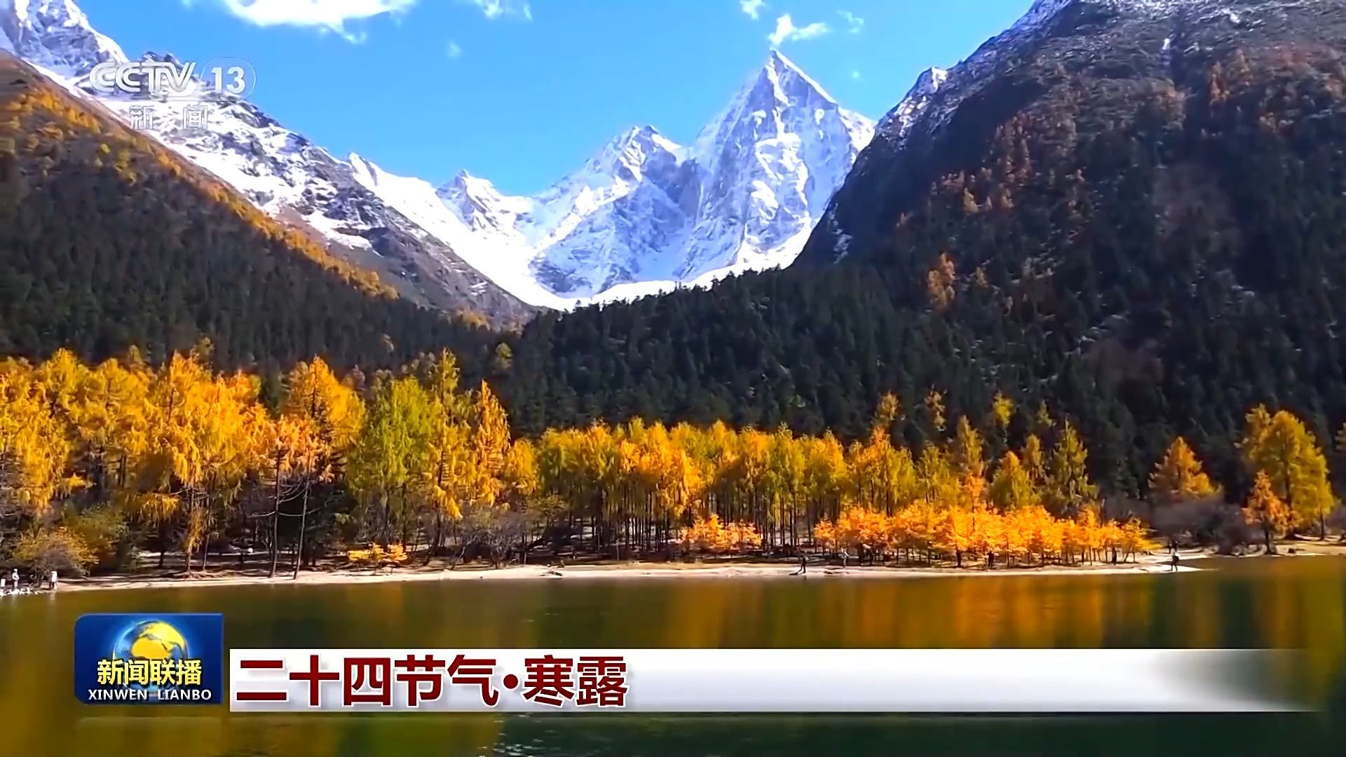 中国文化之旅丨二十四节气·寒露白云红叶菊花黄