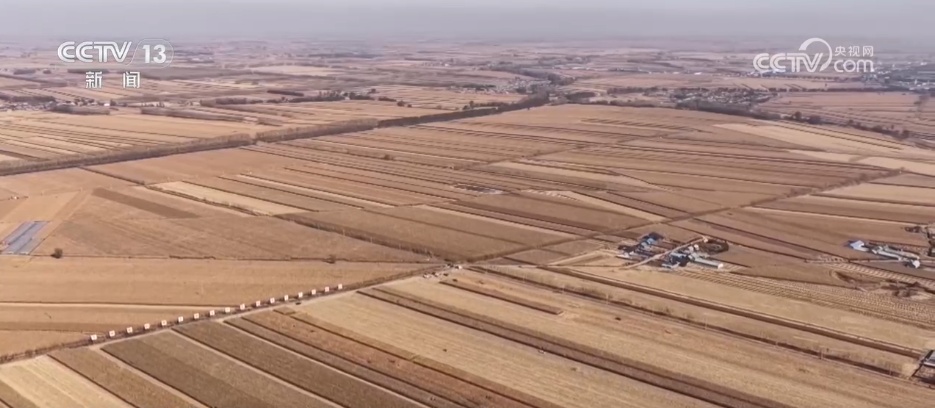 科技解锁大国粮食“丰收密码”，让农民从“丰