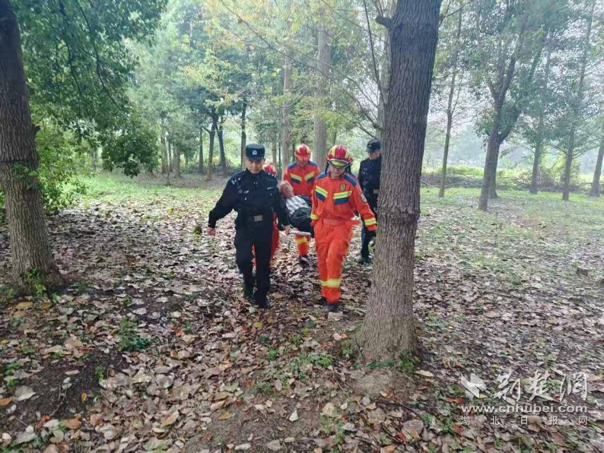 老人晕倒在高压塔下。幸好他们来了……