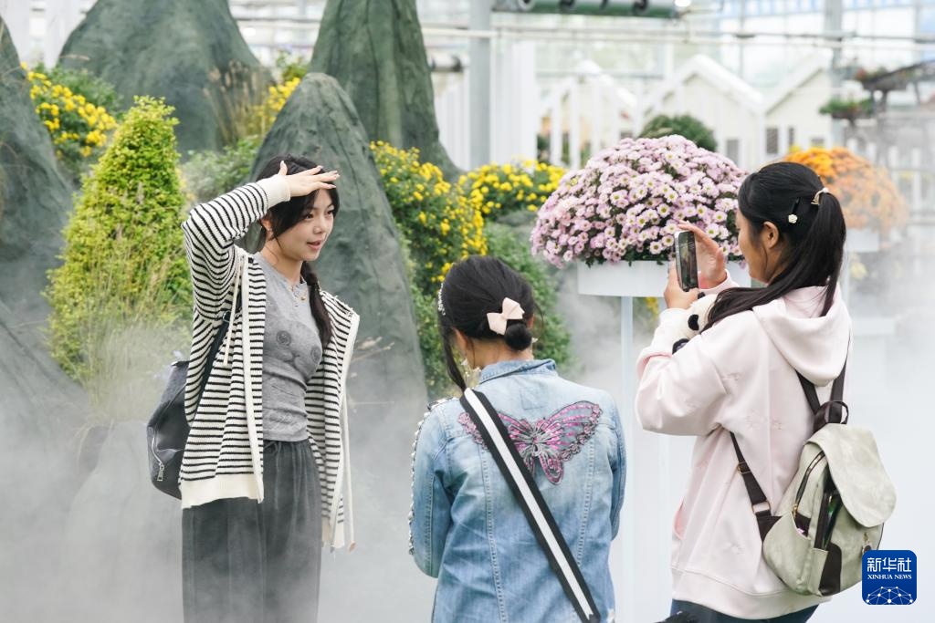 安徽全椒：菊花盛开引游人