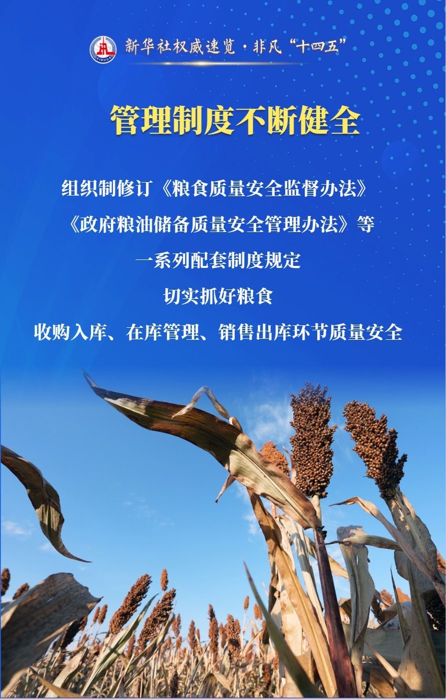 新华社权威快评·非凡的“十四五”规划