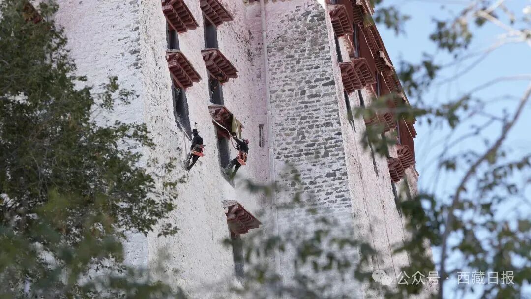 KAIYUN SPORTS截圖預(yù)覽