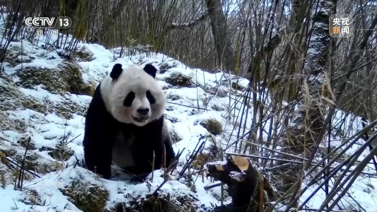 ̸ |ҹ԰Ƹĸʮꡣ￼ǵģʽܵϹ