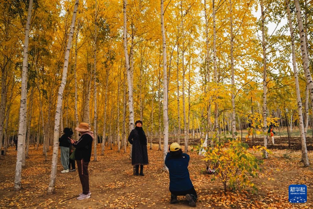 长春：五彩斑斓的秋色
