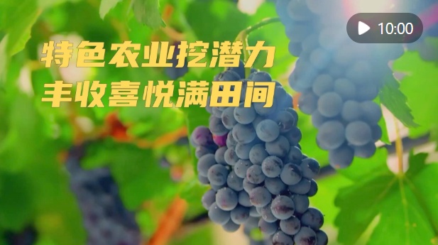 新华社的观点|特征性的农