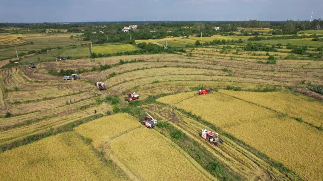 640?wx_fmt=jpeg&from=appmsg&&wxfrom=5&wx_lazy=1#imgIndex=2