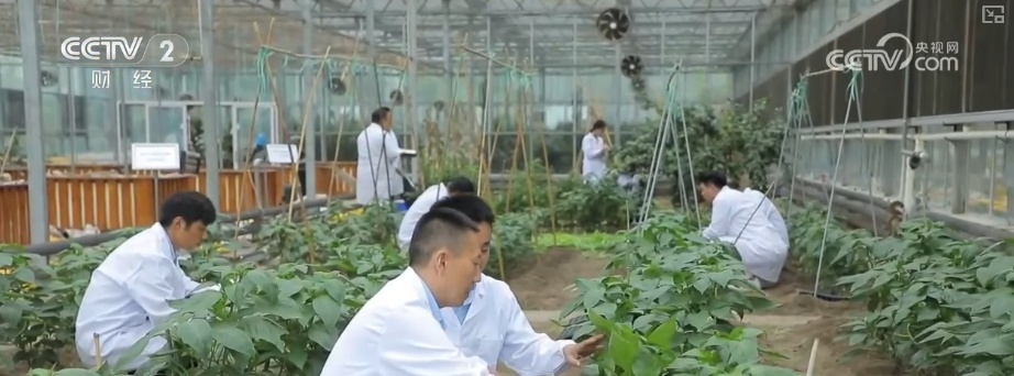 产学研融合，让大学科研“接地气”颠覆