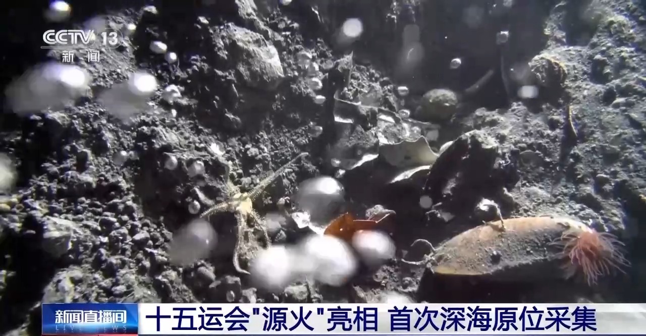 天海联动！深海看被忽视的十五运“源火”