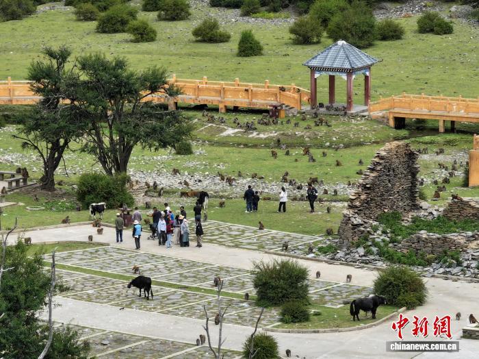 林吉，西藏：藏族棒棒糖栖息地在国庆节的第一