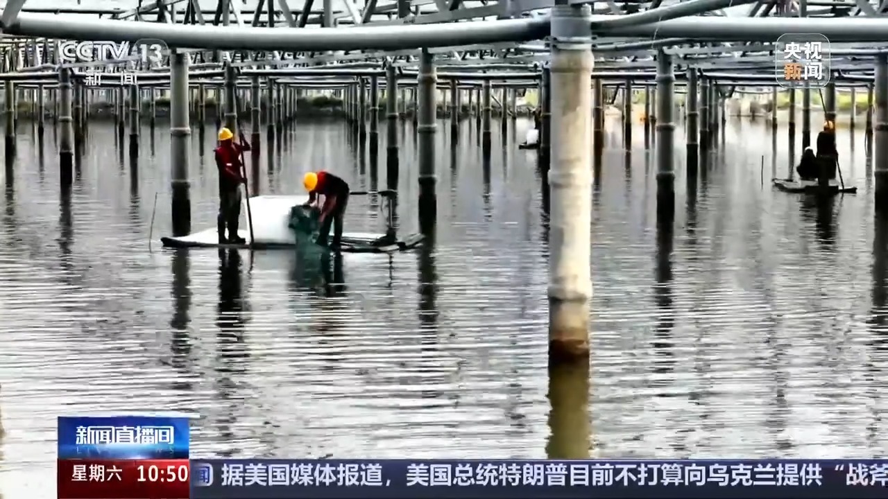 光伏板为螃蟹提供“遮阳篷”？舟山青蟹喜获丰