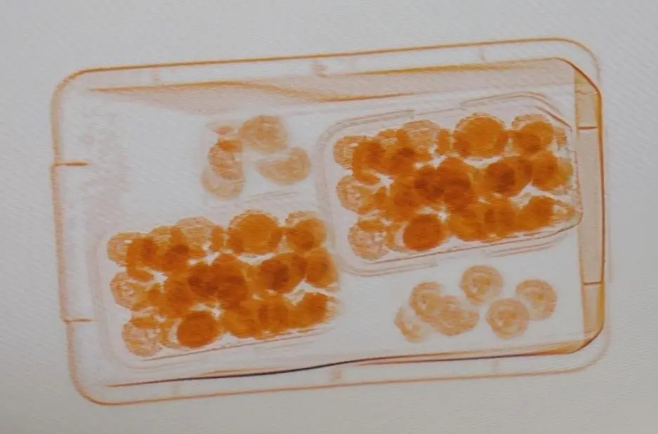 高速火车站的安全检查员渗透了许多“小球”