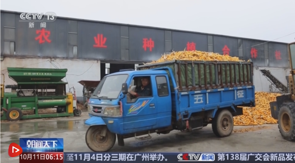 各地多措并举，迎雨回升秋收：“粮食银行”保