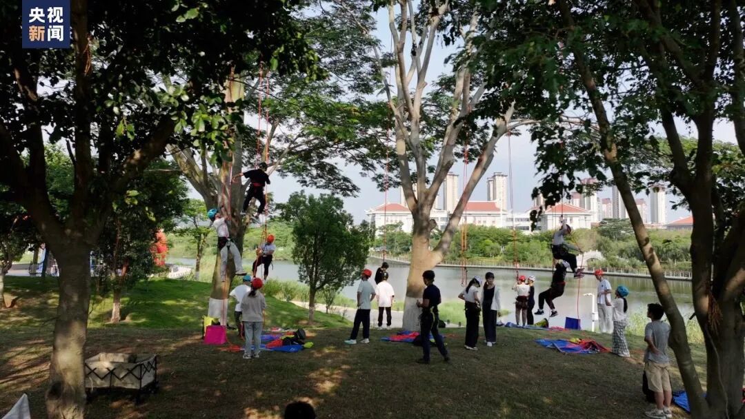 我可以通过“爬树”来获得积分吗？这所大学的