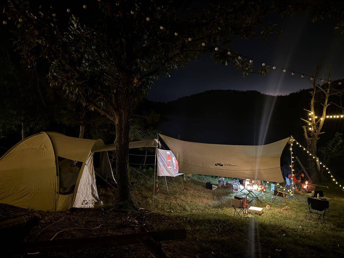 来自donghu的快点