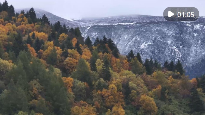 西藏林芝：层林尽染，金秋时节
