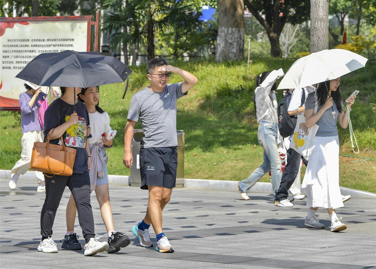 这冷露有点热啊！从今天起，武汉将持续五天晴