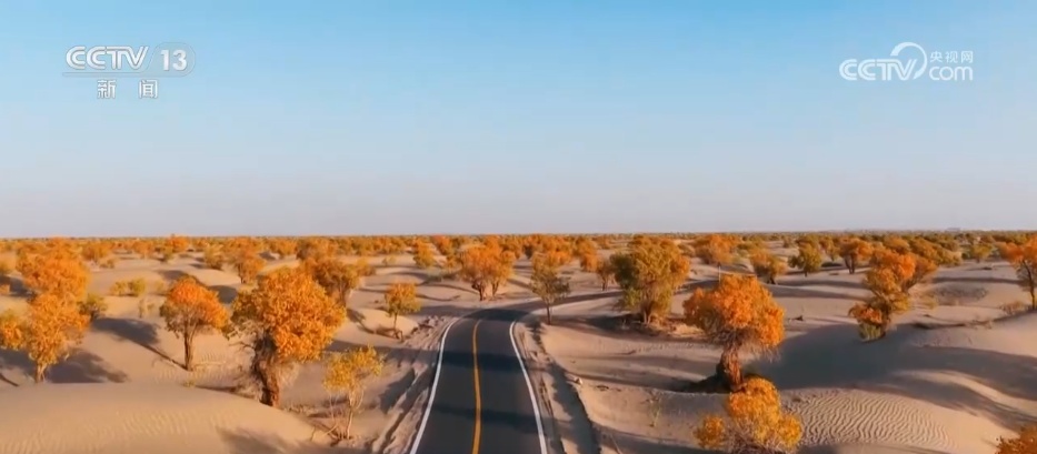 美丽的“限定”秋季即将在多个地方到来。 “文