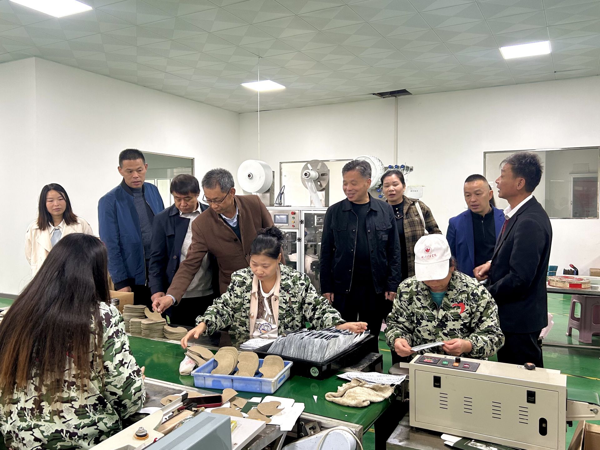 大悟凤店镇政协活动组开展专题调研助力乡村振