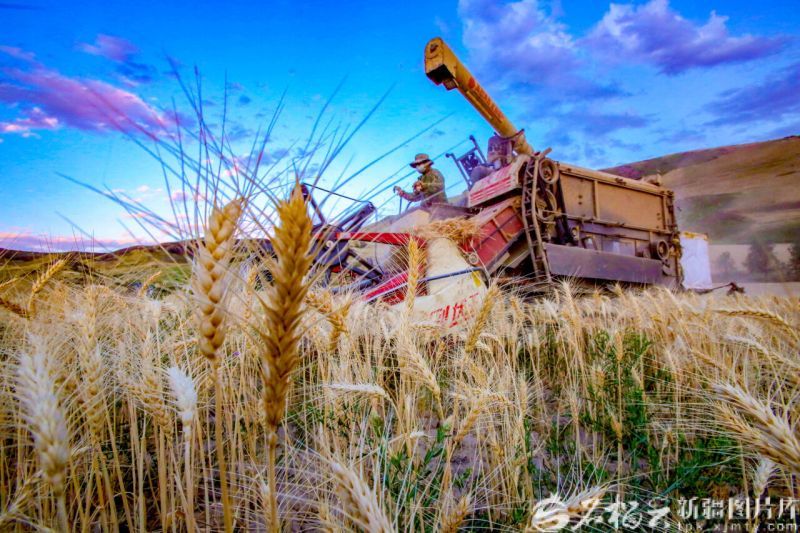 深入准确全面贯彻新时代党的治疆方略丨建设“
