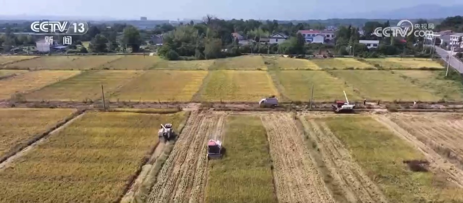 金秋的“铺天盖地”的气息正值此时，丰收的彩