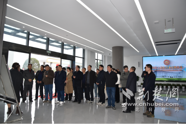 感受科技之美，共度美好